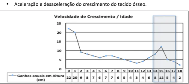 Gráfico   2  Velocidade de Crescimento, adaptado de Coelho (1985) 