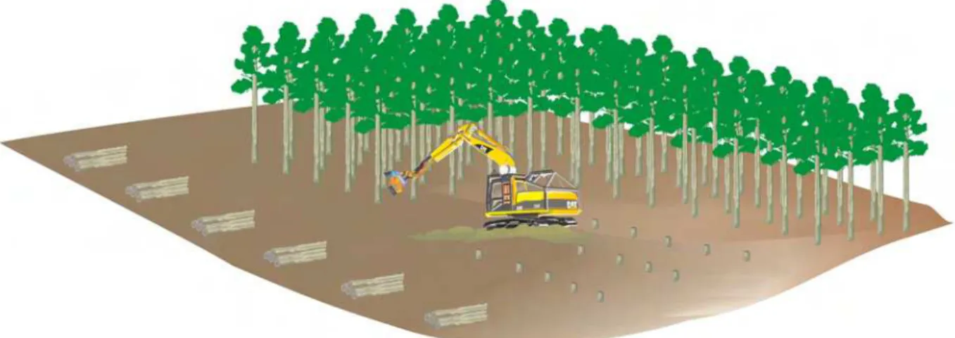 Figura 3: Deslocamento do Harvester no eito de derrubada. 