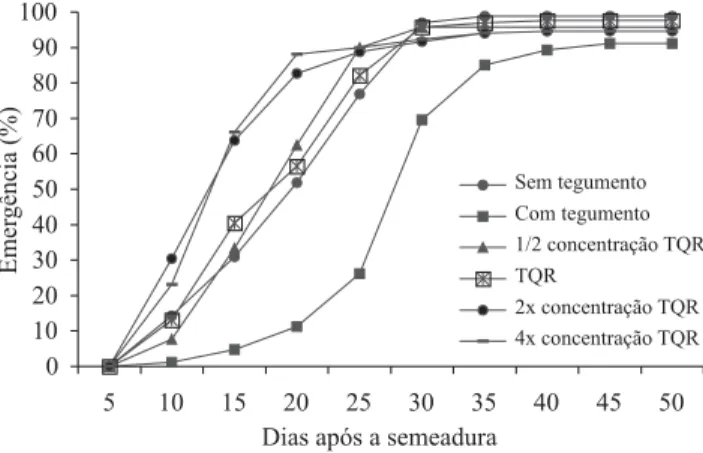 Figura 1. Emergência de plantas da Trifoliata (Poncirus trifoliata) depois da semeadura, decorrente da concentração do tratamento químico da semente.