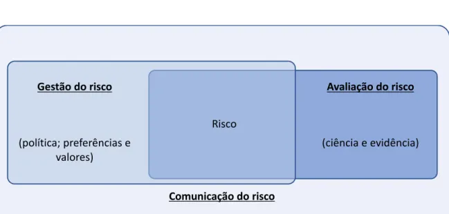 Figura 1 – Pilares do Processo de Gestão do Risco   Fonte: Adaptado a partir de Yoe (2019)