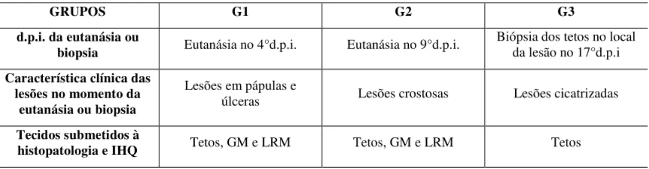 Tabela 4: Períodos de coletas das amostras de sangue dos animais de cada grupo experimentalmente inoculados com  VACV-GP2 para obtenção do soro