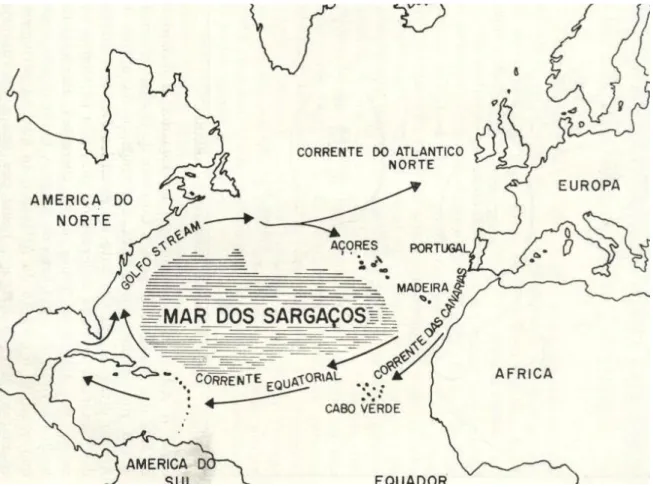 Figura 2 - Localização do Mar dos Sargaços 