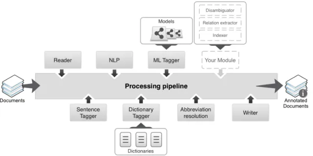 Figure 2.5: Neji processing pipeline. (from [27])