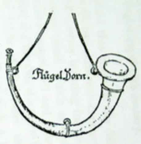 Fig. 3 – Flügel Horn  8