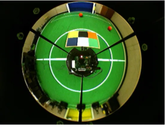 Figure 3.2: An example of an image aquired by the amera of one robot of the CAMBADA