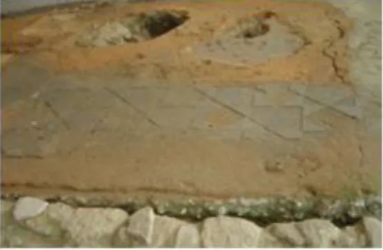 Fig. 3 – Aspectos dos painéis musivos da casa romana da cripta do Museu D. Diogo de Sousa
