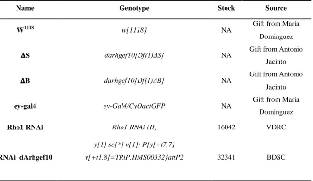 Table 1 - Drosophila melanogaster stocks used in this work. 