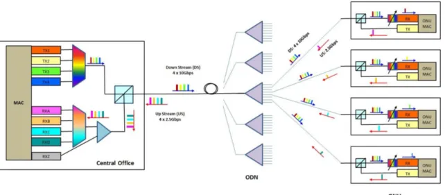 Figure 2.1: Traffic between OLT and ONU [13]