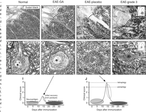 Figure 3. Figure 3.