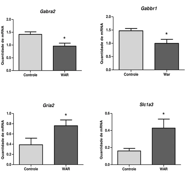 Figura  4.  Gráficos  apresentando  a  quantidade  relativa  de  mRNA  no  hipocampo  de  animais  WAR  comparadas  aos  controles  Wistar