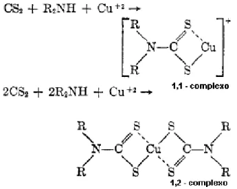 Figura  1  –  Reação  do  CS 2  com  a  amina  (dietanolamina)  e  com  o  cobre  (acetato  de  cobre (II) monoidratado) proposta por CULLEN (1964)