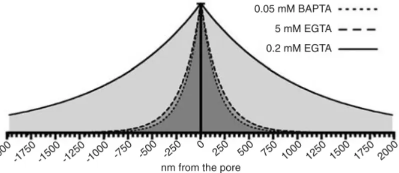 Figure 5B), which could not explain the differences ob- ob-served in paired-pulse depression in these two conditions.