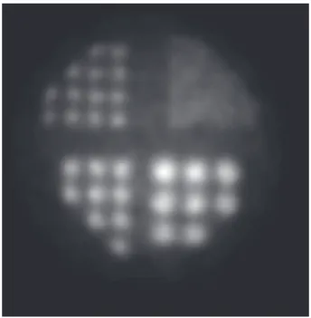 Figure 6. Planar projections and tomographic SPECT imaging of the rat’s heart. 