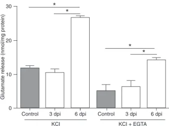 Figure 2. Cerebral malaria induces glutamate release from brain  synaptosomes. KCl: 33 mM KCl-evoked glutamate release from  C57BL/6  control  mice  and  from  C57BL/6  Plasmodium  berghei  ANKA  (PbA)-infected  mice  at  3  and  6  days  post-infection  (