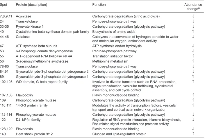 Table 2.  Spots identified by MS/MS that were higher or lower in the ethidium bromide (ETB)-induced petite mutant compared to parent  cells