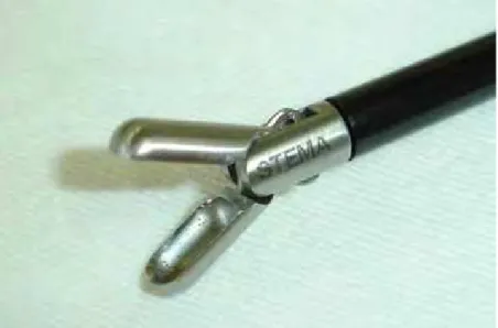 Figura 6 – Imagem fotográfica da pinça de biópsia com concha  para laparoscopia. 
