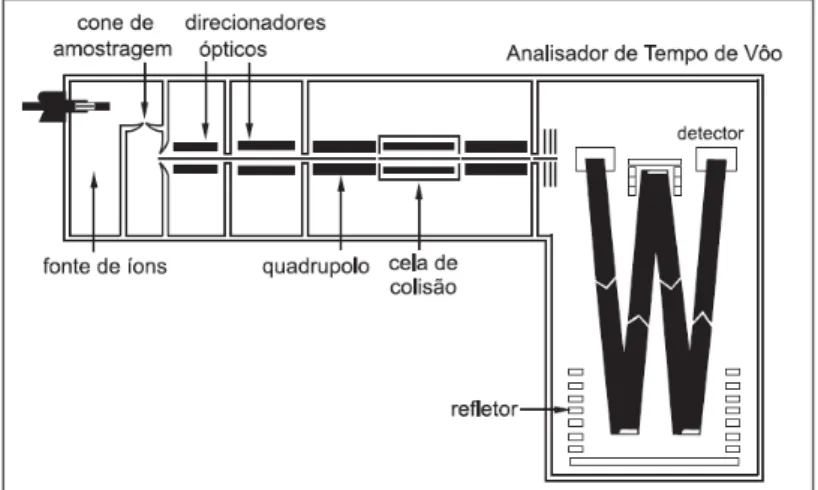 Figura 8. Esquema de um espectrômetro de massas quadrupolo-tempo de voo (Q-ToF) 
