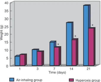 Figure 1. Weight of rats in the air-inhaling and hyperoxia groups. 
