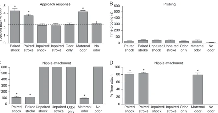 Figure 1. During early life pups approach (Y-maze) the naturally learned maternal odor or the experimentally learned attachment odor  produced by pairing a novel odor (i.e., peppermint) with either stroking or a 0.5-mA shock (A)