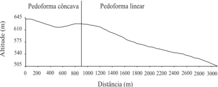 Figura 1. Perfil altimétrico abrangendo as pedoformas côn- côn-cava e linear da área em estudo, segundo a classificação de Troeh (1965)