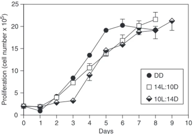Figure 1. Proliferation of B16 cells submitted to different photope- photope-riod regimens (10-h light:14-h darkness (10L:14D); 14-h  light:10-h darkness (14L:10D); or constant darkness (DD)