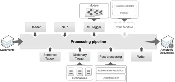 Figure 2.2: Neji’s processing pipeline[12]