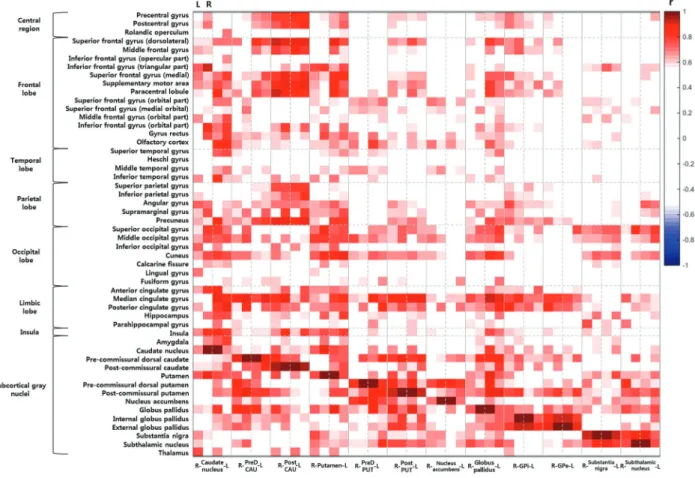 Figure 2. ROI-based interregional correlation matrix of the basal ganglia and related brain structures