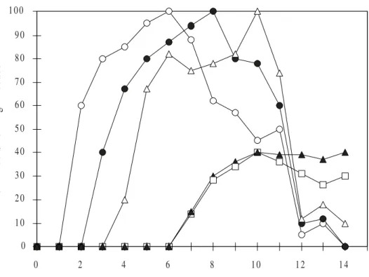 Figure 2. Graphic representation of group A mice (suspension only) with HSV ophthalmic infection