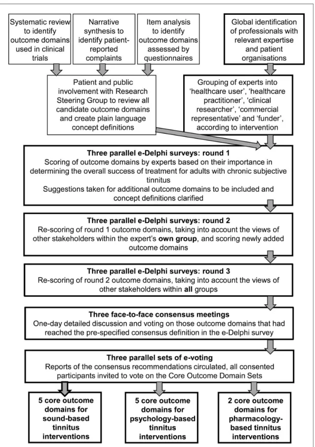 Figure 1. Schematic overview for the overall project including three parallel e-Delphi surveys, the corresponding face-to-face meetings to establish the Core Outcome Domain Set recommendations, and stakeholder voting for each intervention-specific strand