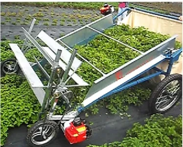 Figure 5: MAP harvesting machine by McLeça 
