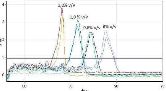 Figura  3  –  Demonstração  da  influência  de  diferentes  concentrações  de  DMSO  (respectivas  concentrações:  0,6%  v/v,  0,8%  v/v,  1,0%  v/v  e  1,2%  v/v)  na  temperatura  de  dissociação  da  PCR em tempo real para detecção do SuHV-1 utilizando 