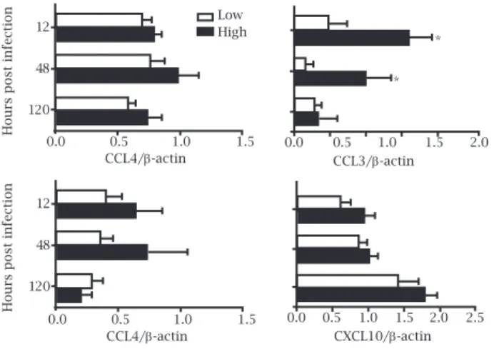 Figure 2: Semi-quantitative RT-PCR analysis of the expression of chemokines from PBMCs from high and low IFN-γ responders