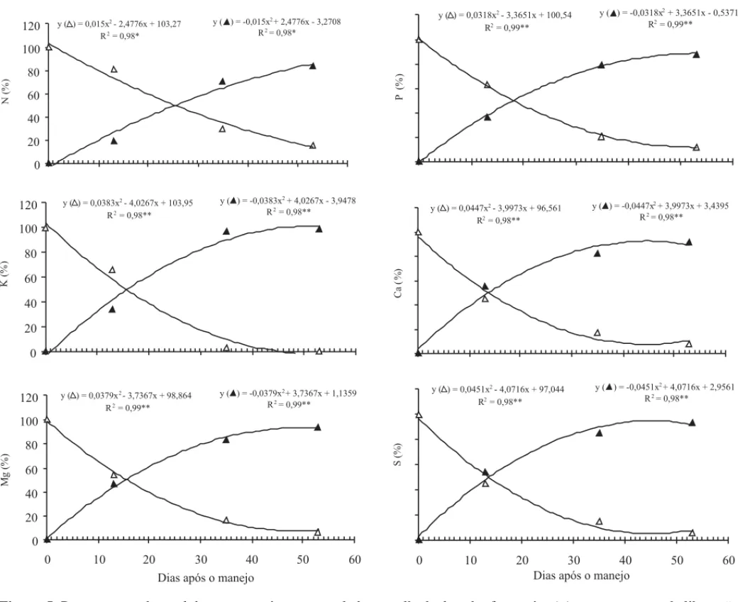 Figura 5. Porcentagem do total de macronutriente acumulado na palhada de nabo forrageiro ( ) e porcentagem de liberação acumulada ( ) em função do tempo após o manejo da fitomassa