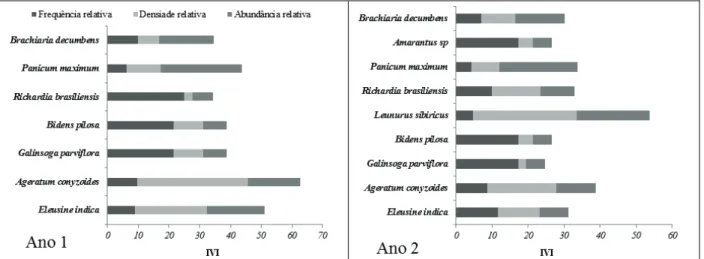 Figura 7 - Frequência relativa, densidade relativa, abundância relativa e índice de valor de importância na área 7 no período da seca, durante dois anos consecutivos.