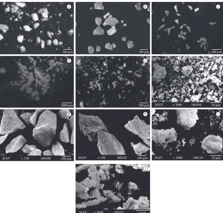 Figura 3. Biomateriais, sob avaliação do estéreo microscópio (a-e) e do microscópio eletrônico (f-j)
