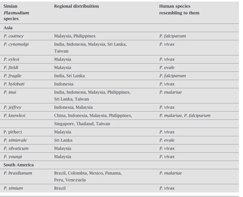 Table 1. Malaria species of simian origin isolated in Asia and in South America (modified from the reference  quotation)