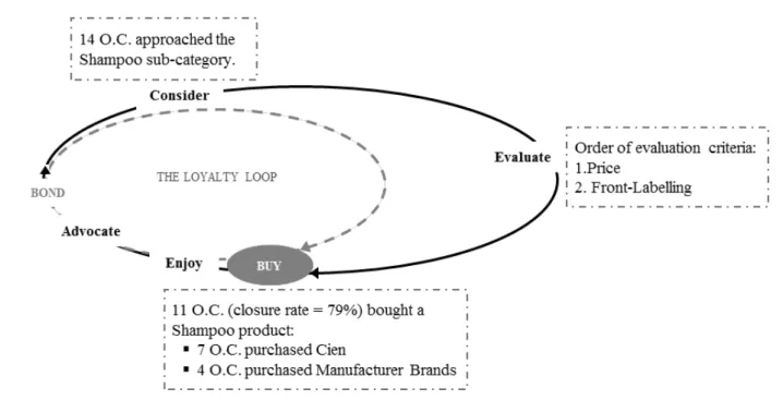 Figure 3 - Consumer Decision Journey for the Shampoo sub-category. 