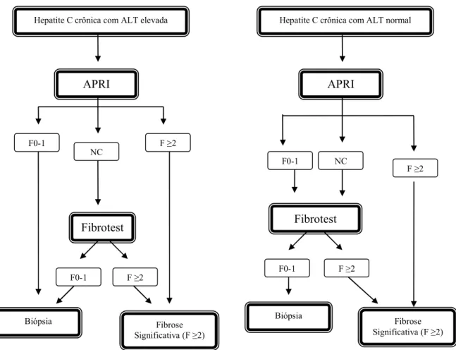 Fig. 1. Algoritmo para diagnóstico de fibrose