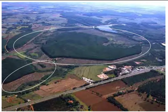 Figura 3 – Foto aérea tirada em junho de 2003 (12 meses após o plantio) mostrando a  área transformada na RPPN “Parque Florestal São Marcelo” – Mogi Guaçu e áreas  circunvizinhas