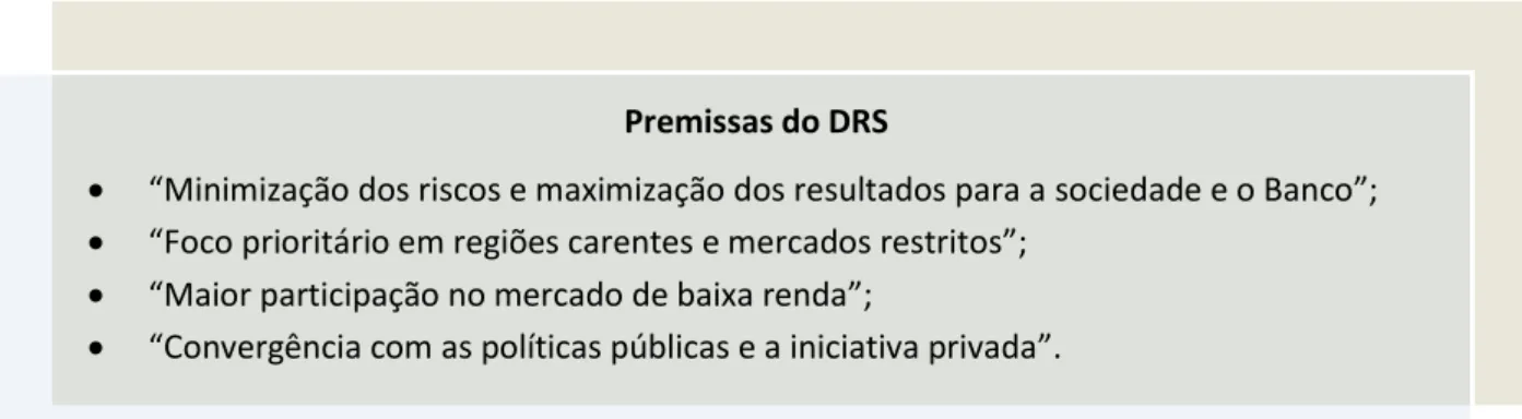 Figura 3.5g –  Premissas do DRS 
