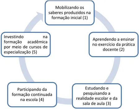 Figura 6. Desenvolvimento profissional das professoras iniciantes 