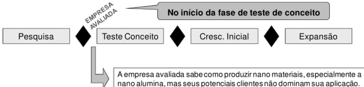 Figura 10. Posicionamento da empresa avaliada 