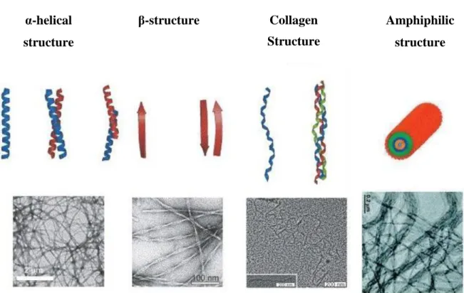 Figure  1.1:  Examples  of  protein  structural  motifs,  schematics  (top)  and  transmission  electron  micrographs (bottom) (6)
