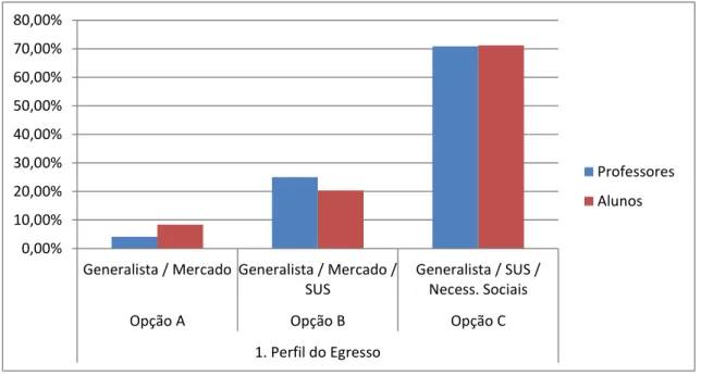 Gráfico 1.  Perfil do egresso 0,00%10,00%20,00%30,00%40,00%50,00%60,00%70,00%80,00%