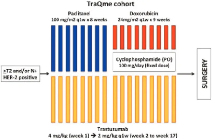 Figure 1. TraQme cohort study design.