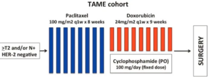 Figure 2. TAME cohort study design.