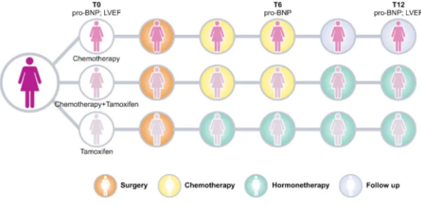Figure 1. Group division: women who received chemotherapy treatment for 6 months; women who received chemotherapy for 6 months  fol-lowed by an additional 6 months of tamoxifen;