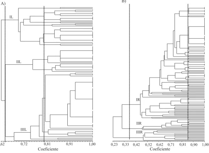 Figura 2. Dendrogramas de similaridade baseados em características fenotípicas culturais para isolados de bactérias que nodulam siratro, que alcalinizam (A) e que acidificam (B) o meio de cultura