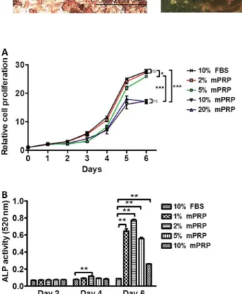 Figure 3. Effect of different concentrations of modi ﬁ ed platelet- platelet-rich plasma (mPRP) on cell proliferation (A) and ALP activity of stem cells from human exfoliated deciduous teeth (B)