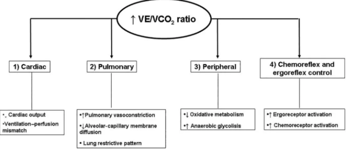 Figure 4. Potential mechanisms suggested for reduced ventilatory ef ﬁ ciency (increased ventilation to carbon dioxide production relationship (VE/VCO 2 ) in cardiac disease.